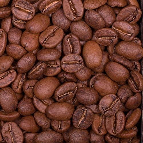 specialty coffee supplier premium wholesale export