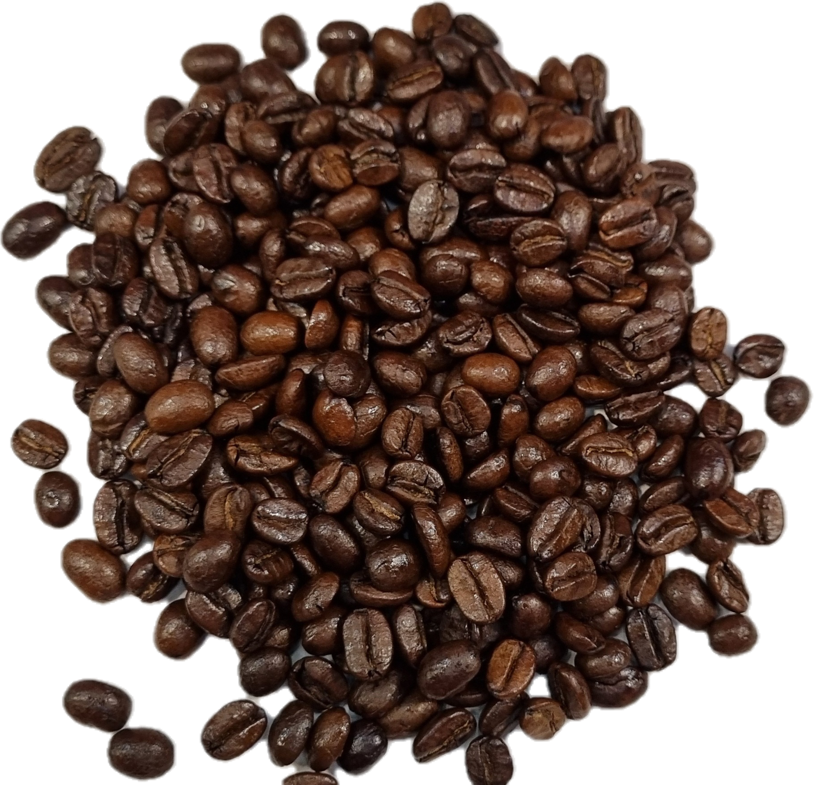 Arabica coffee beans export supplier
