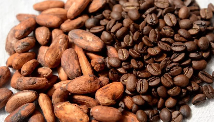 bulk coffee and cocoa export Asia
