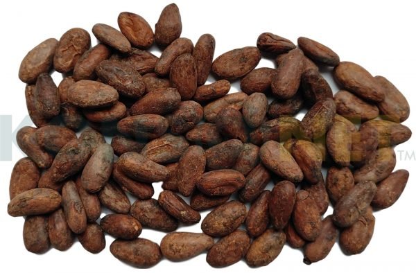 Cocoa beans export supplier