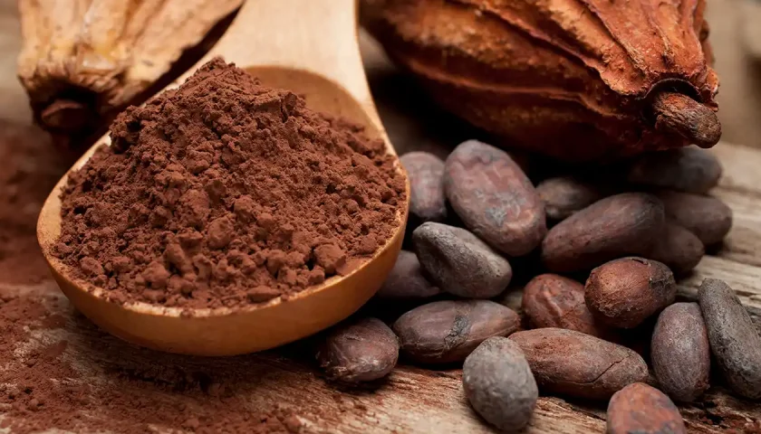 coffee and cocoa exporter UK