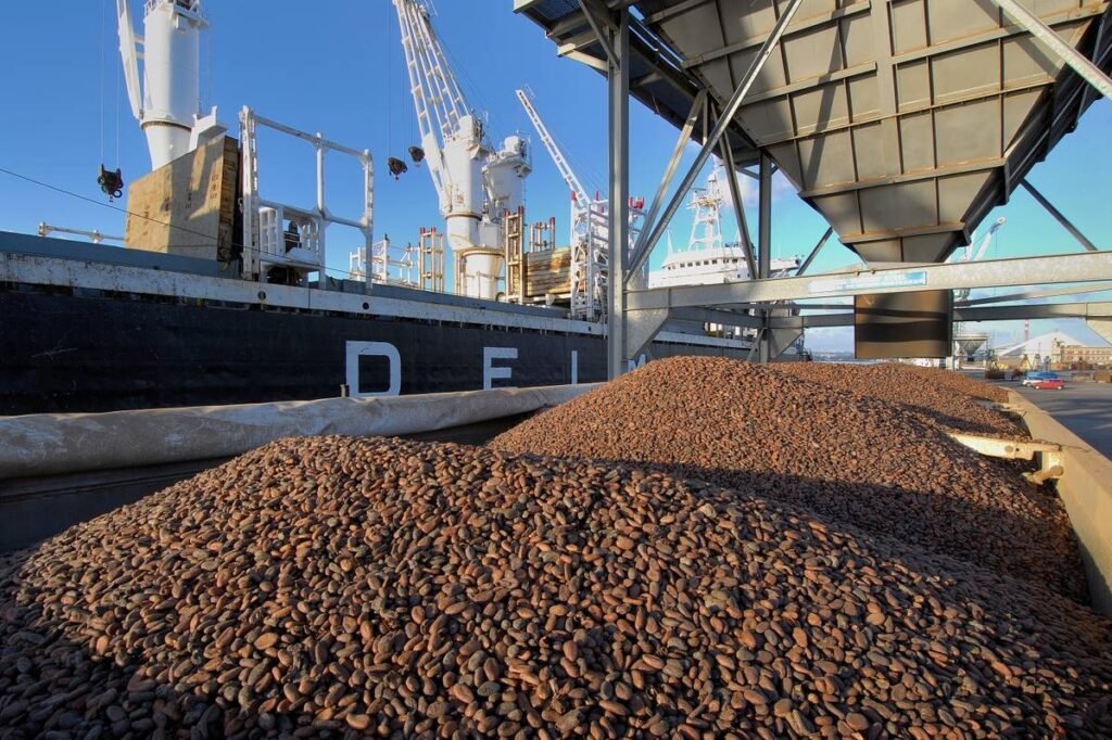 How Bulk Shipping Works for Coffee and Cocoa Export