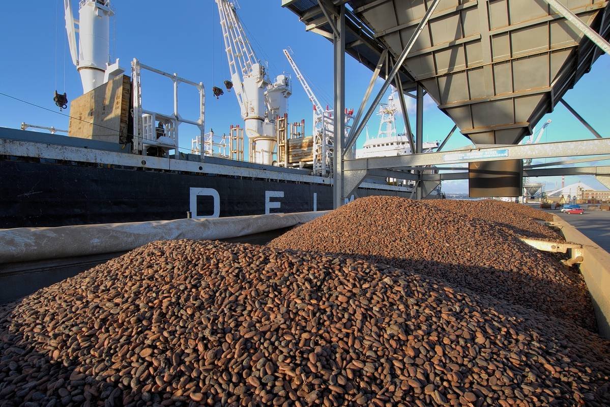 How Bulk Shipping Works for Coffee and Cocoa Export