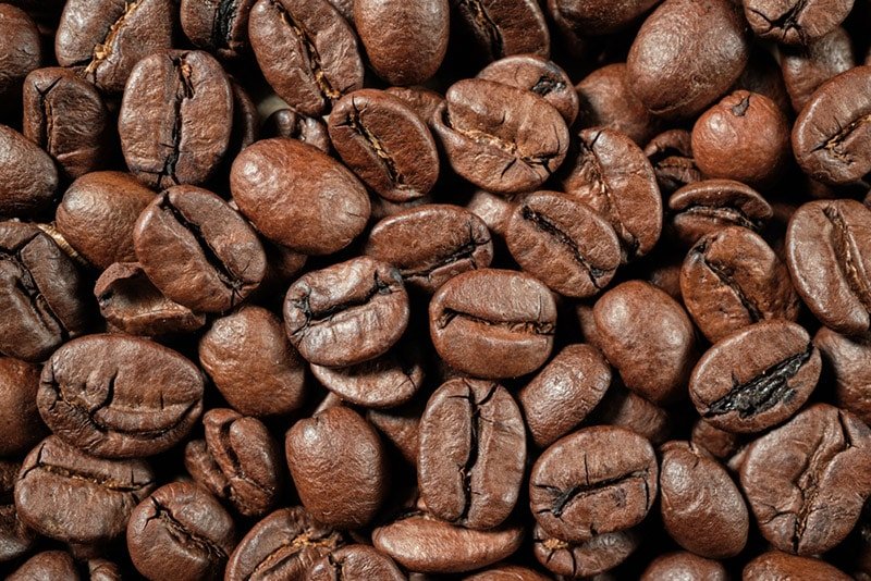 Robusta coffee beans