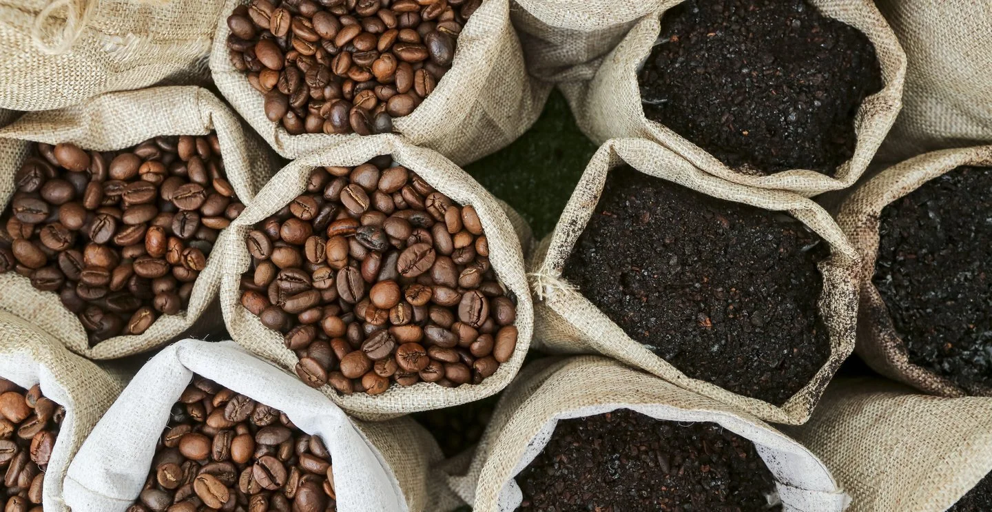 Arabica coffee beans wholesale supplier